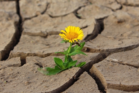 abenteuer-change-04