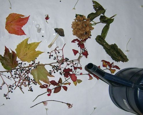 abenteuer-change-naturmaterialien-01 Abenteuer Change - mit Naturmaterialien gemeinsam im Team ein Zukunftsbild gestalten